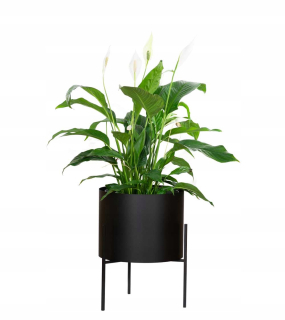 Palazzo Decor stojan na kvety 45 cm kovový